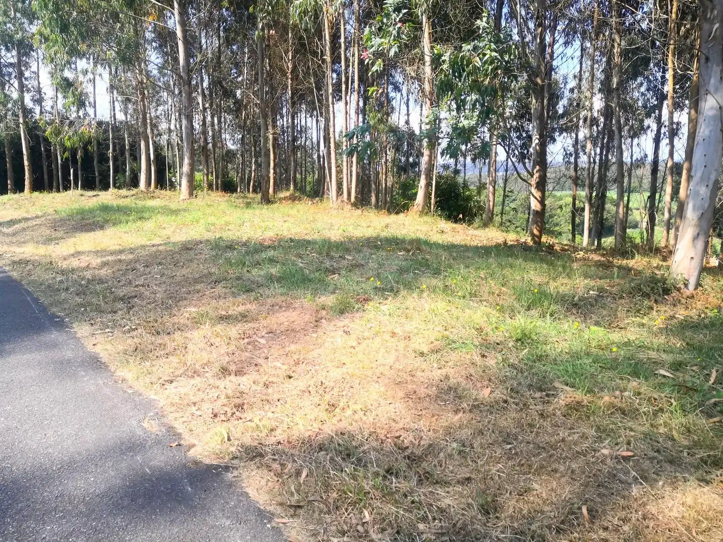 Terreni e lotti in vendita a Malpica de Bergantiños, imagen 7