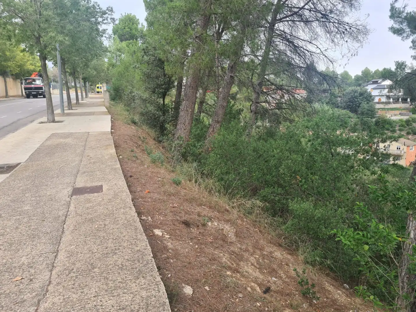 Terreny residencial en venda a Carrer de Can Bosch 76, imagen 8
