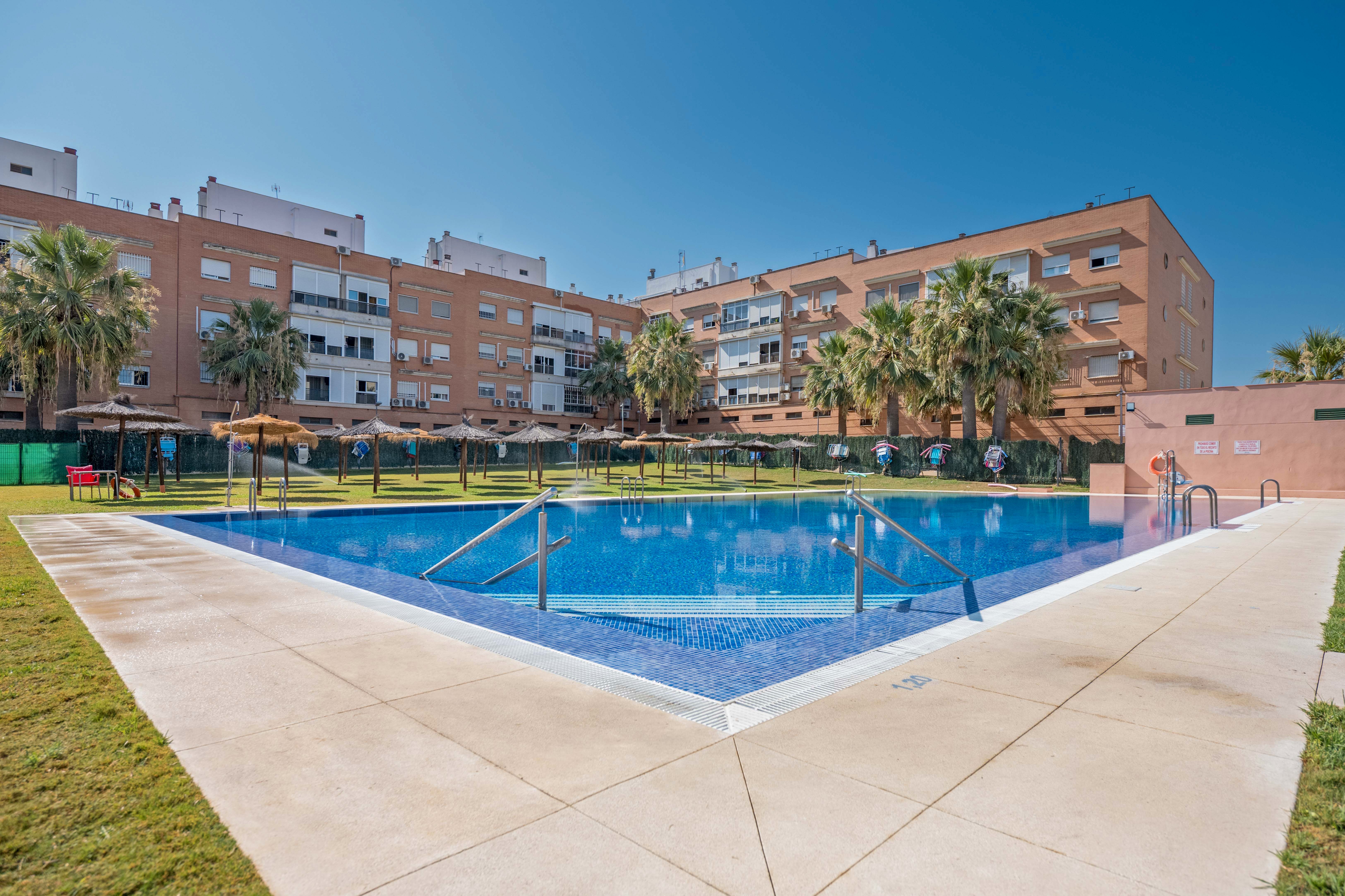 Swimming pool of Apartment for sale in Montequinto  with Community pool