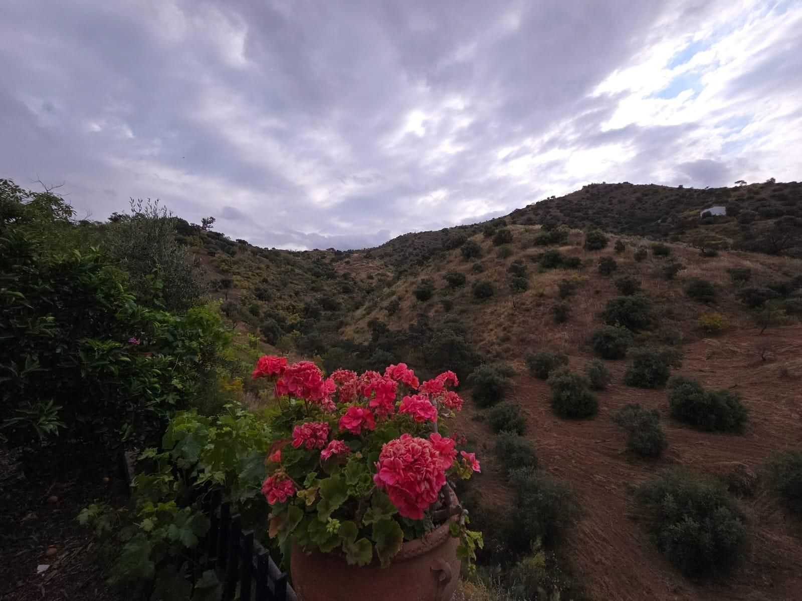 Jardí de Casa o xalet de lloguer en Casabermeja
