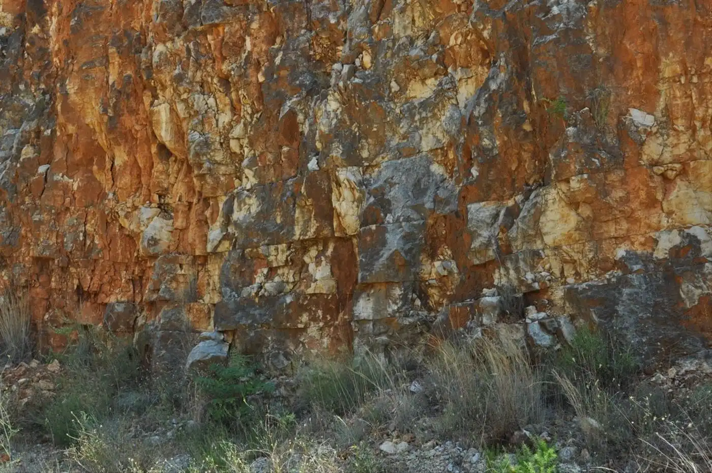 Land for sale in Camí del Barranc de la Llet, 26, Sant Llàtzer