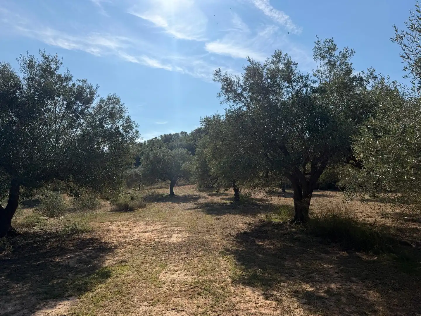 Residencial en venta en El Pinell de Brai
