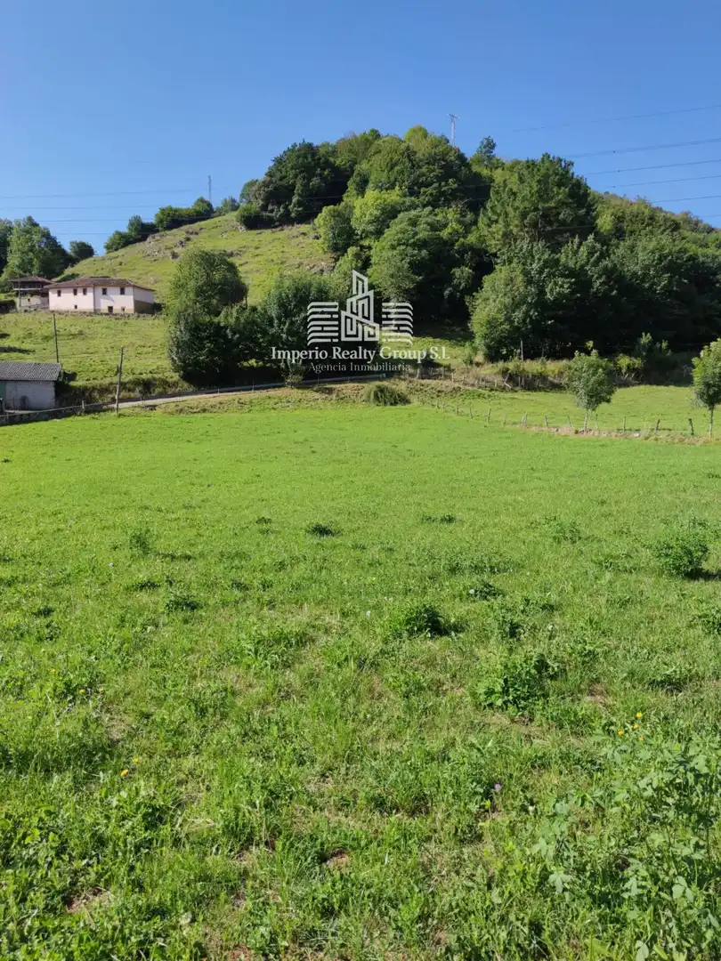 Terreno rústico en venta en Grado, imagen 7