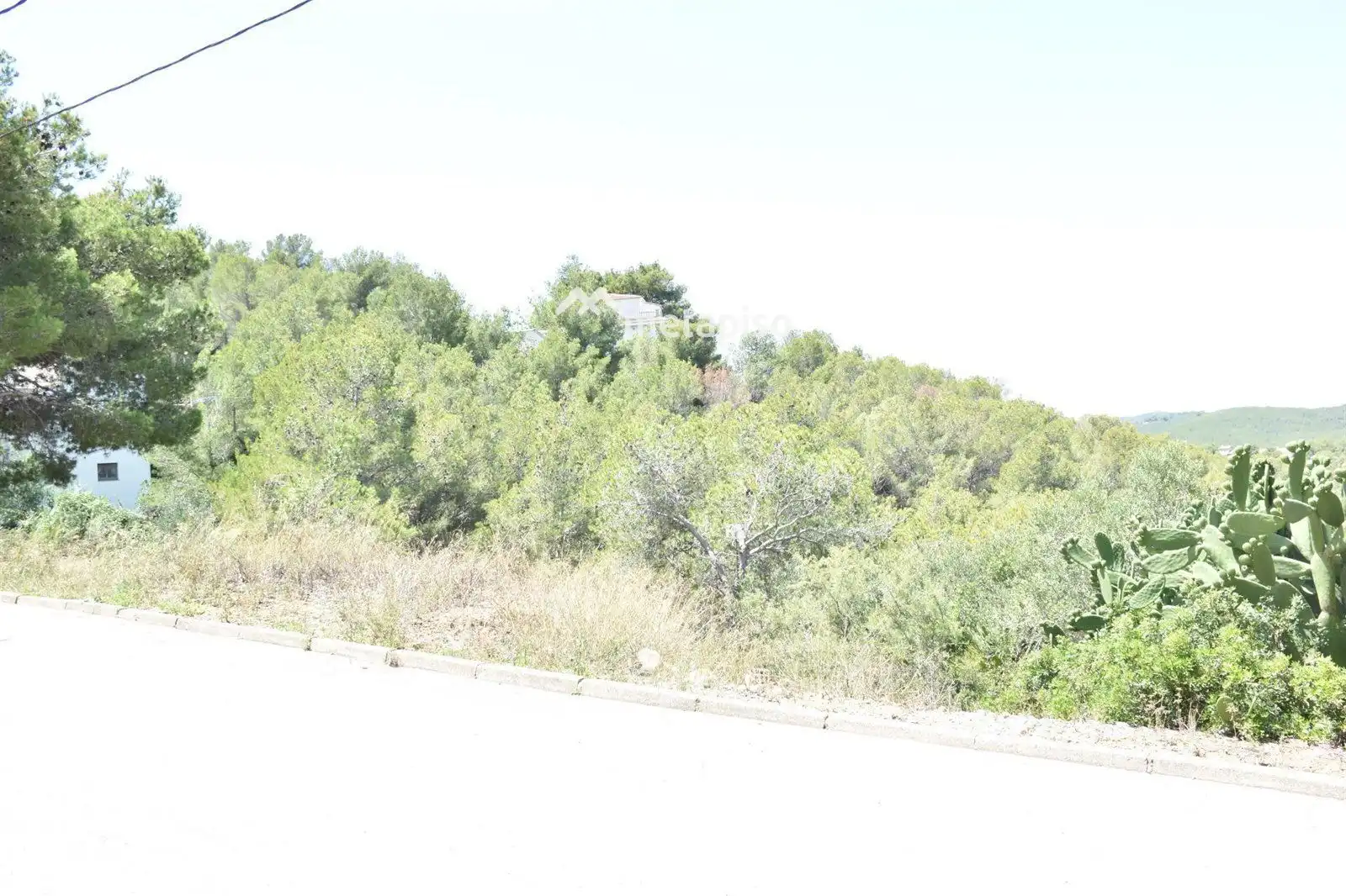Rural land for sale in La Bisbal del Penedès, imagen 5