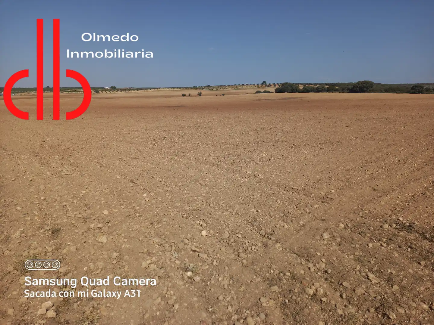 Rustikales Grundstück zum Verkauf in Tomelloso, imagen 15