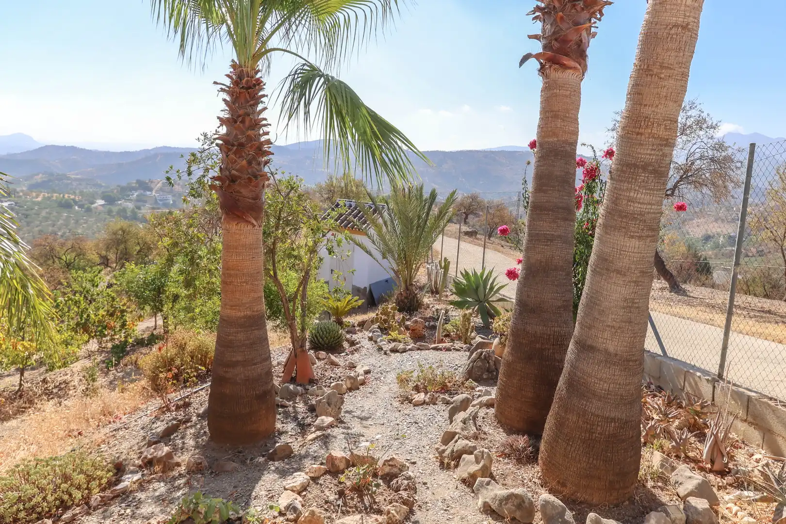 Casa con piscina en venta en Avenida de Andalucía, imagen 13