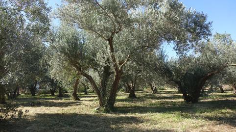 Photo 4 of House or chalet for sale in Órgiva, Granada