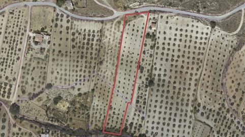 FINCA DE SECANO EN PADUL CON 5680 M2, immagine 3