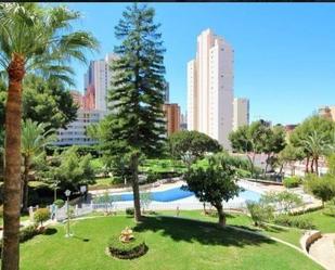 Vista exterior de Apartament en venda en Benidorm amb Aire condicionat