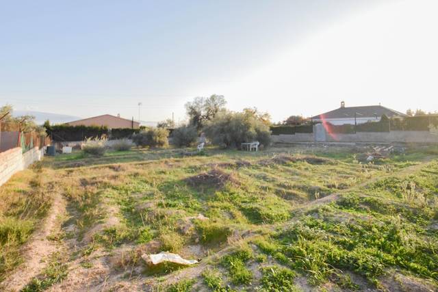 Finca rústica en Venta en Urbanizacion SUELO URB. SR-11 en Atarfe