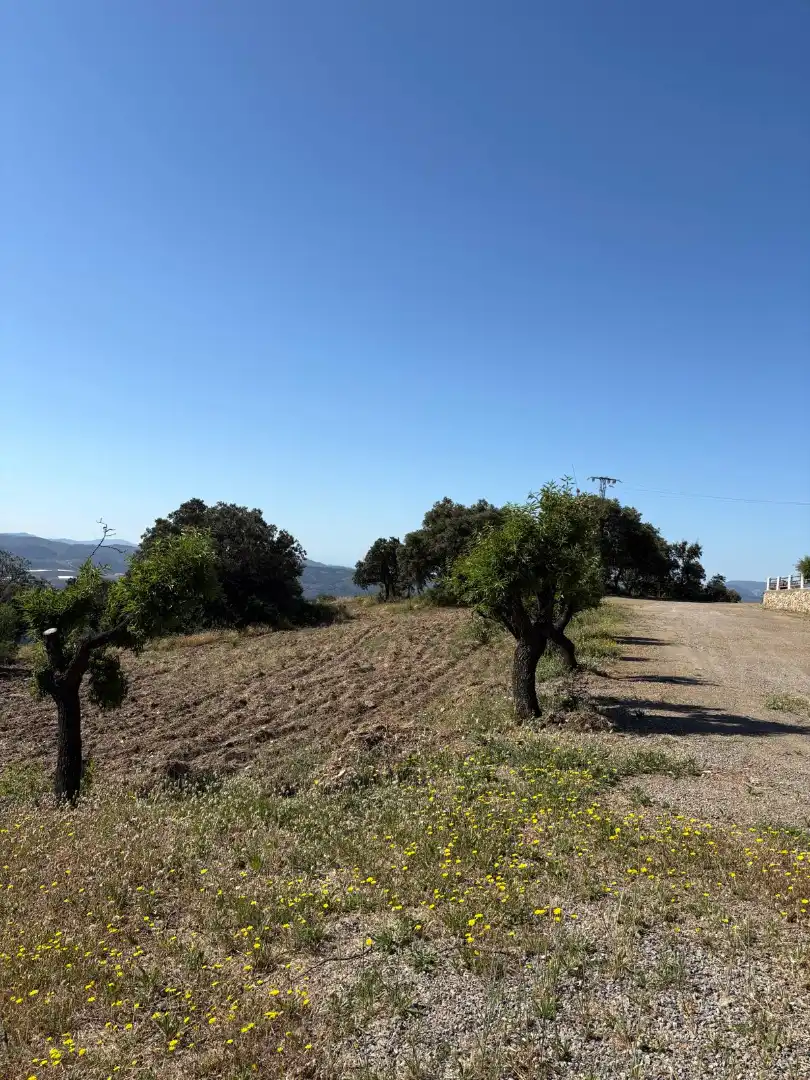 Casa o xalet en venda en Nevada amb Aire condicionat, Jardí privat i Piscina