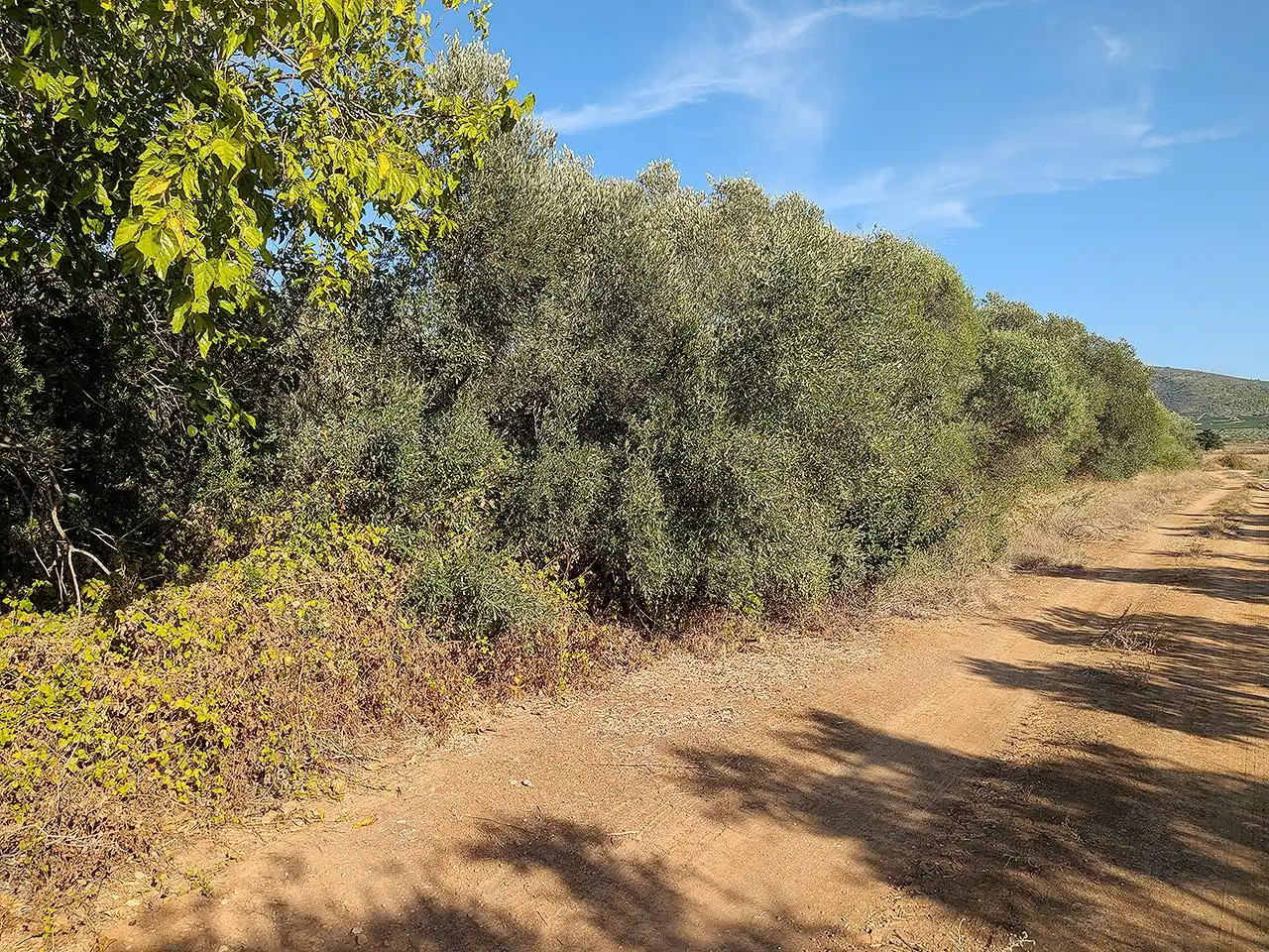 Country homes for sale in Ulldecona