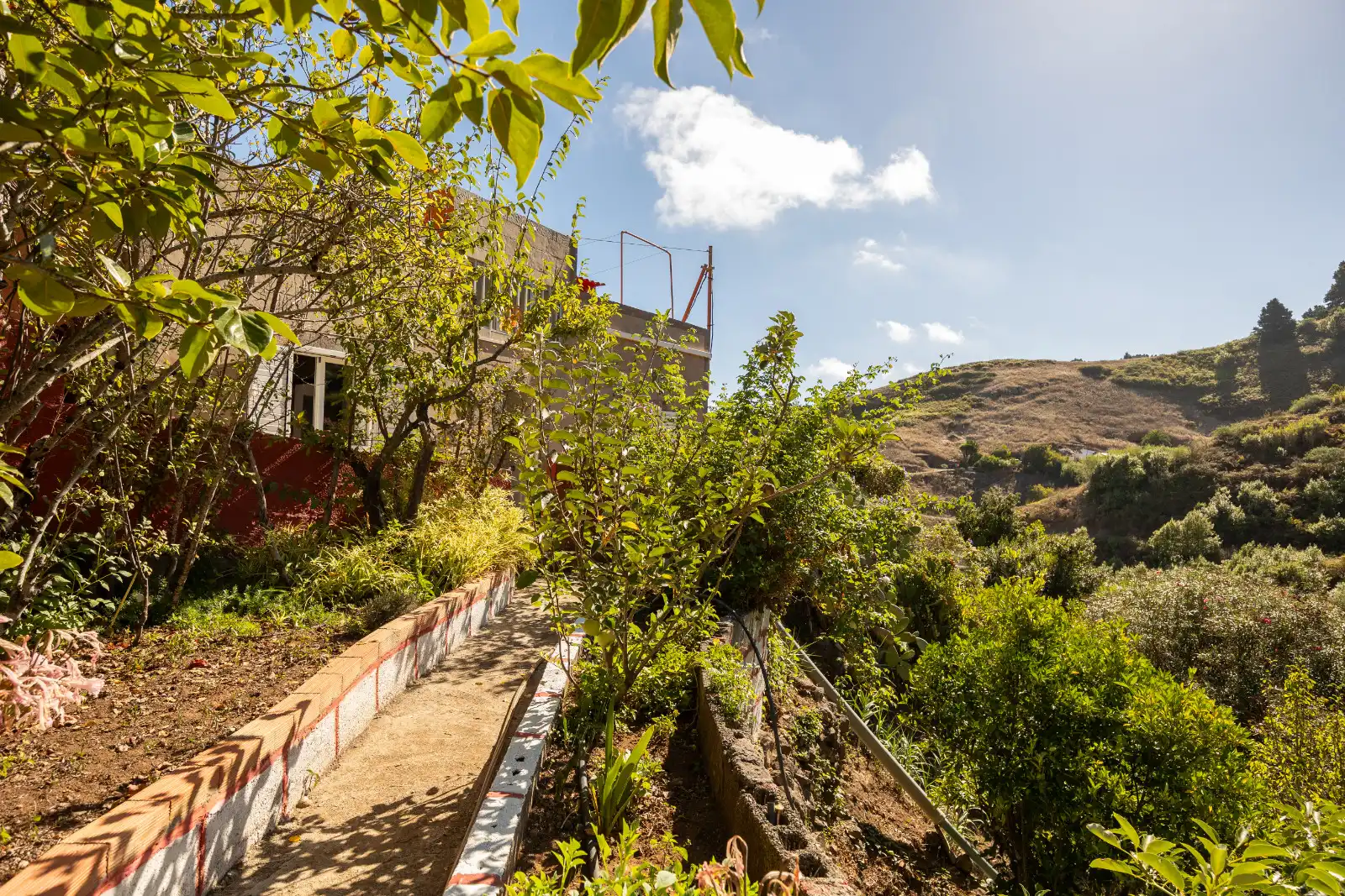 Casa rústica amb jardí en venda a Montaña Alta, imagen 54