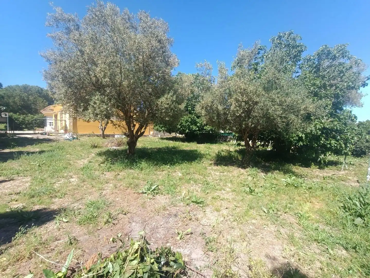 Terreny residencial en venda a Ctra Sanlúcar - Cuatro Pinos