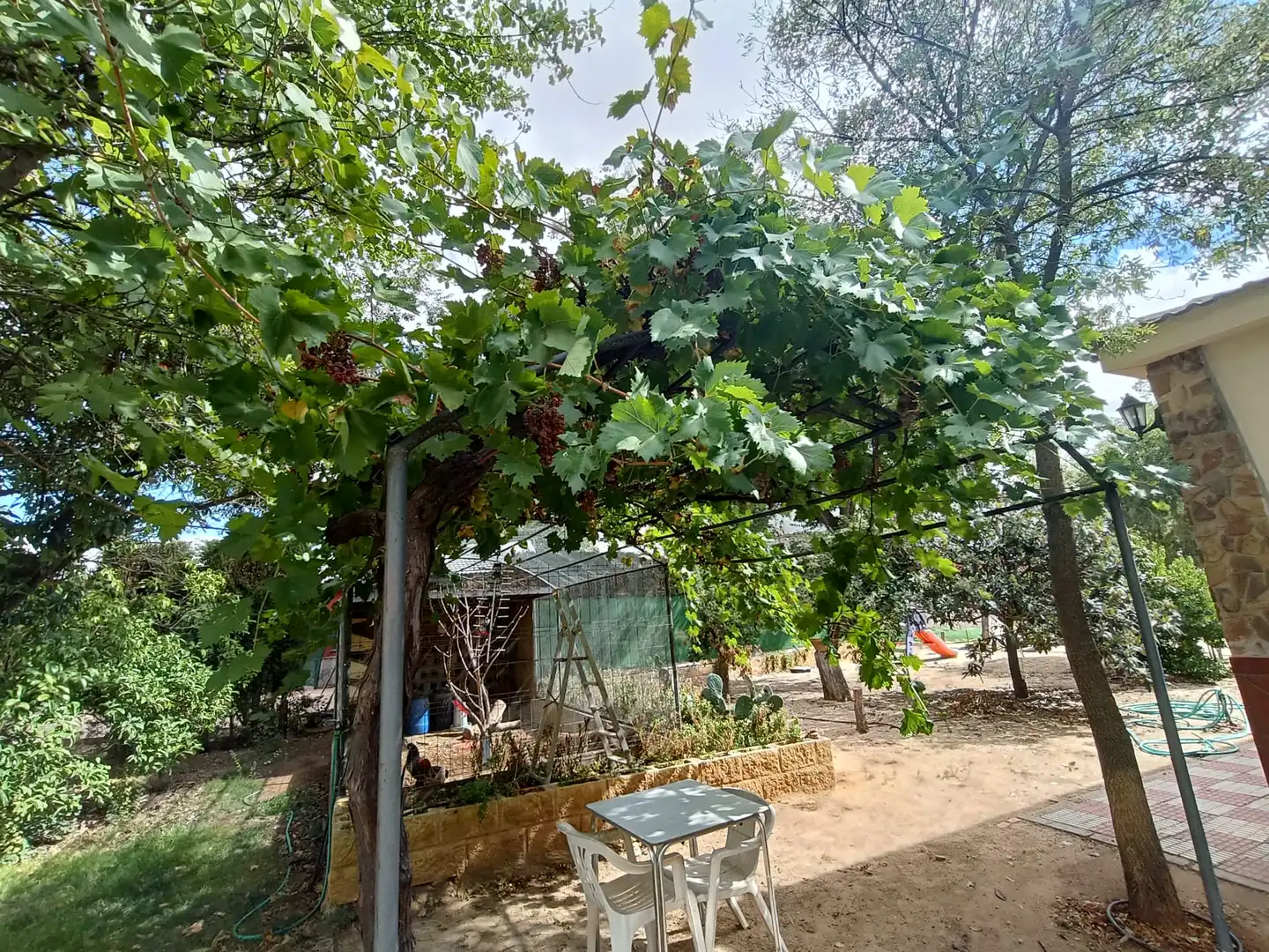 Jardín de Casa o chalet en venta en Ciudad Real con Aire acondicionado, Jardín privado y Piscina