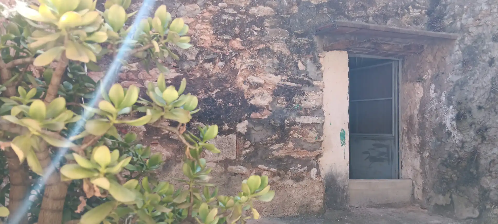 Vista exterior de Casa o chalet en venta en Alcalà de Xivert con Amueblado