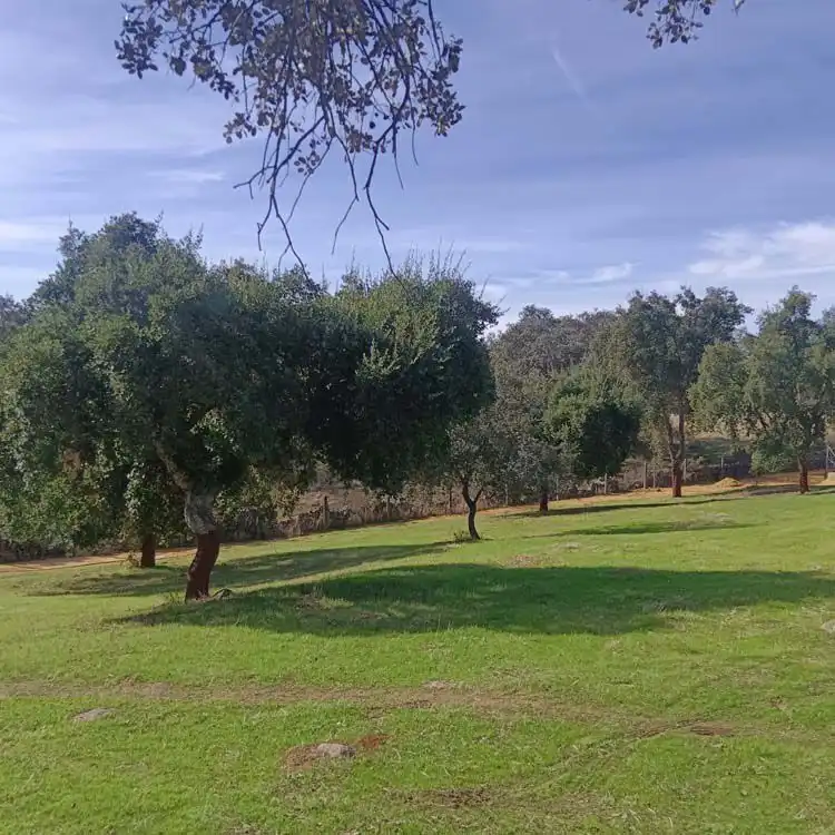 Country house for sale in El Castillo de las Guardas, imagen 8