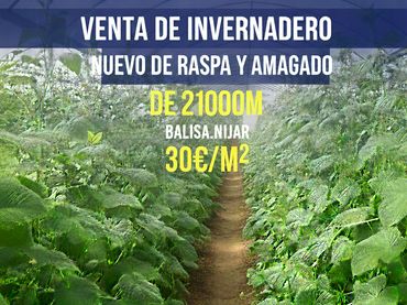 Terreno rustico in vendita a Níjar pueblo
