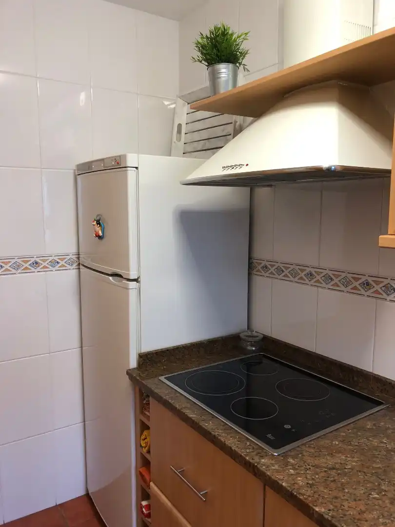 Kitchen of Apartments for rent in Chiclana de la Frontera  with Terrace, Furnished and Oven
