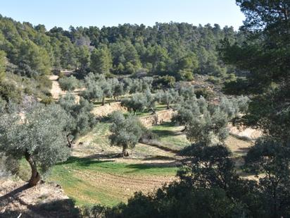 Finca rústica en venda en La Fresneda