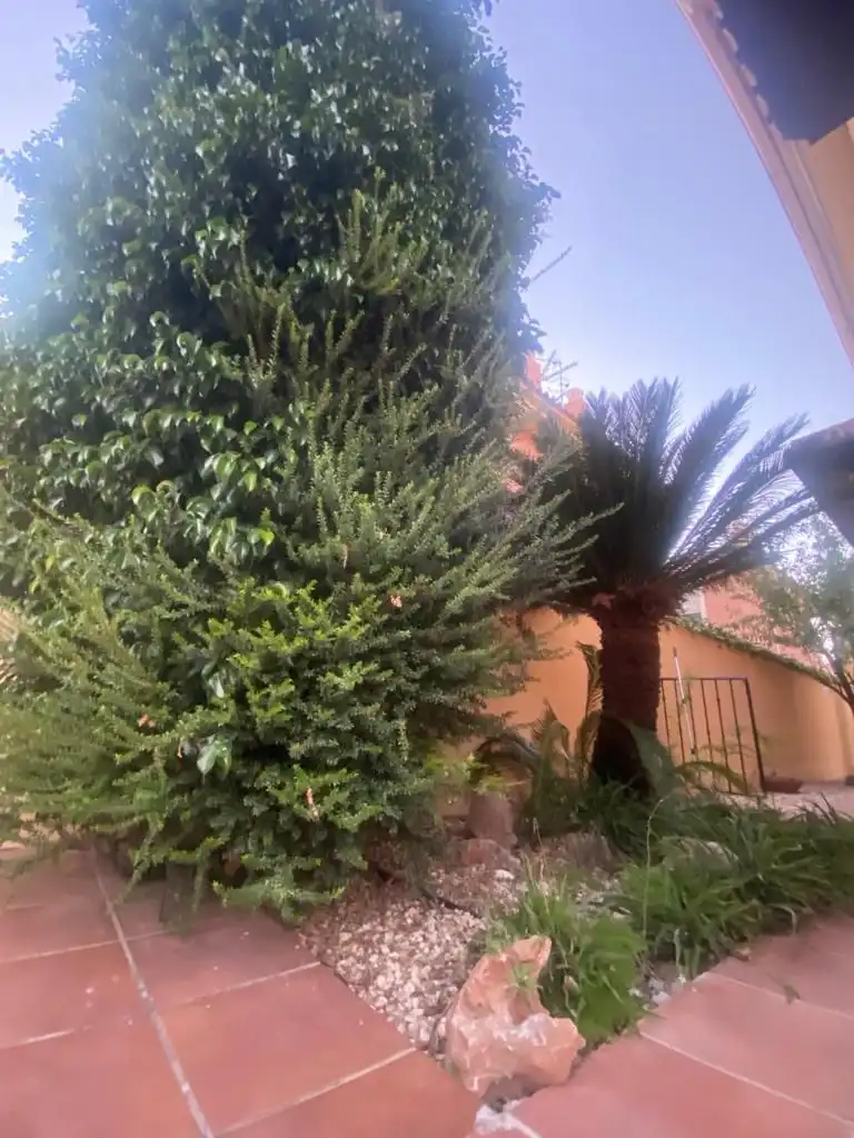 Detached homes for rent in Capellanía - Retamar