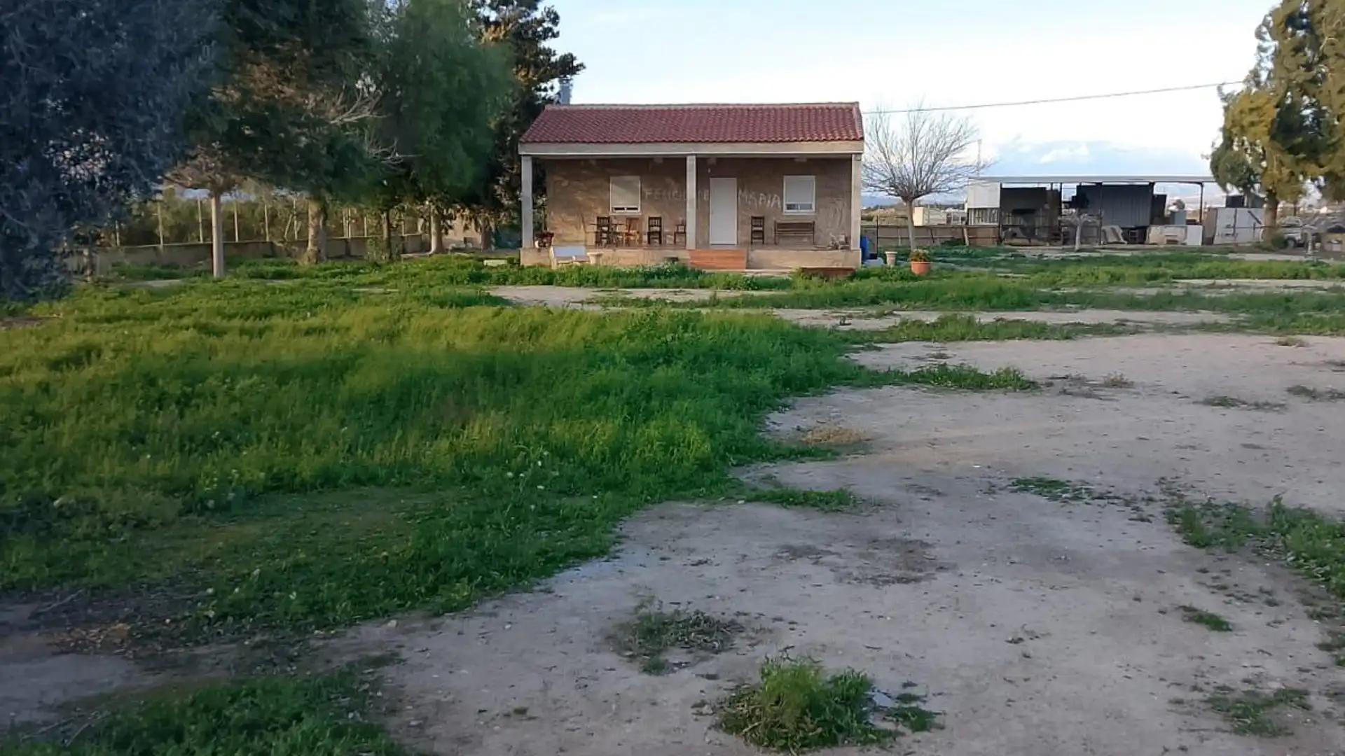 Finca rústica en venta en Daya Nueva