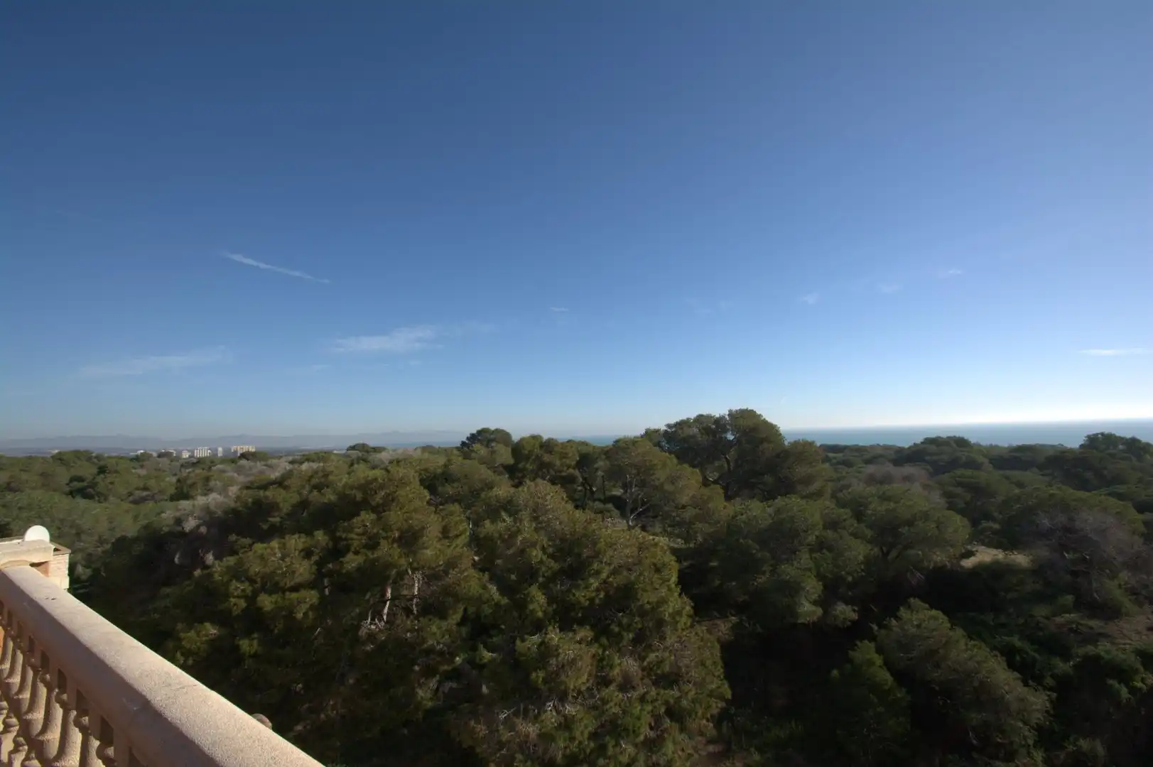 Jardí de Planta baixa en venda en Guardamar del Segura amb Terrassa i Piscina comunitària