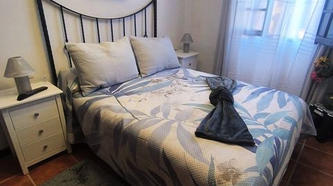 Photo 3 of Apartments for rent in Icod El Alto, Los Realejos