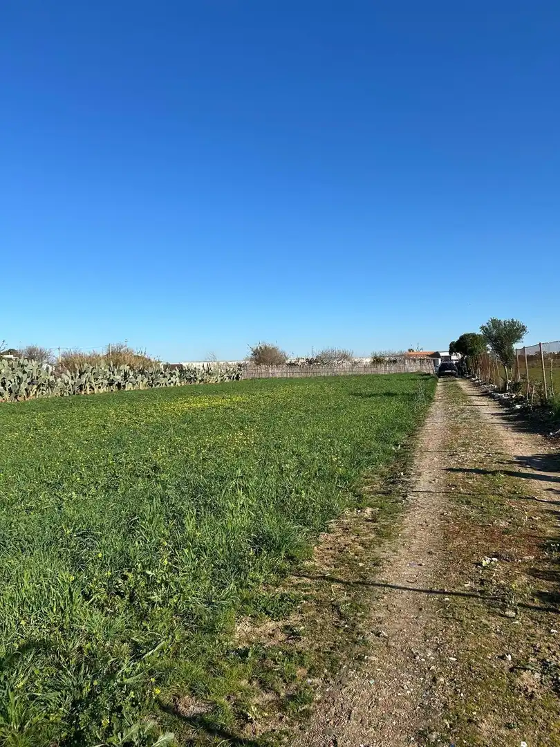 Grundstücke zum Verkauf in Chipiona
