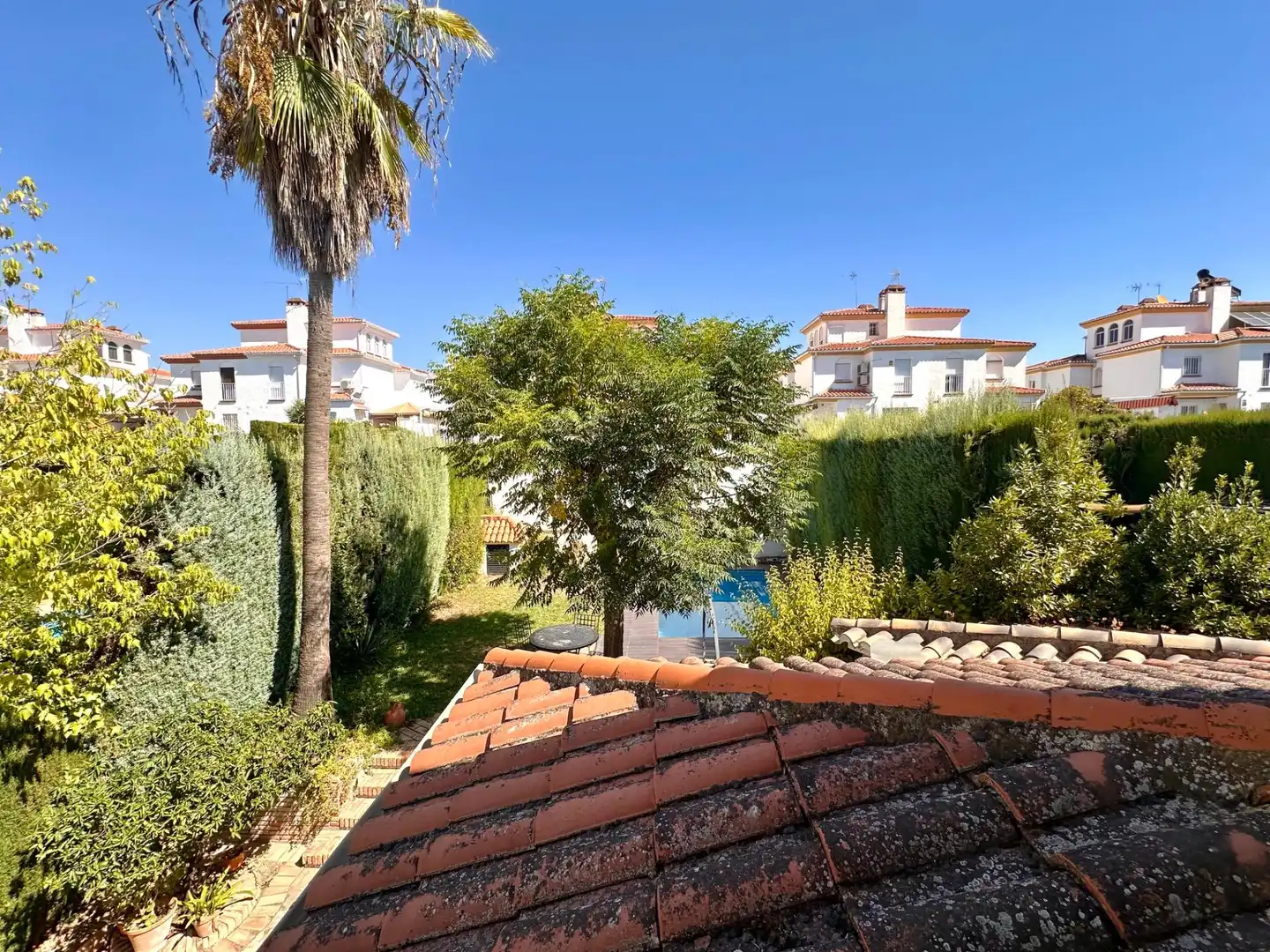 Villa avec piscine à vendre à Calle Magnolios 4, imagen 24