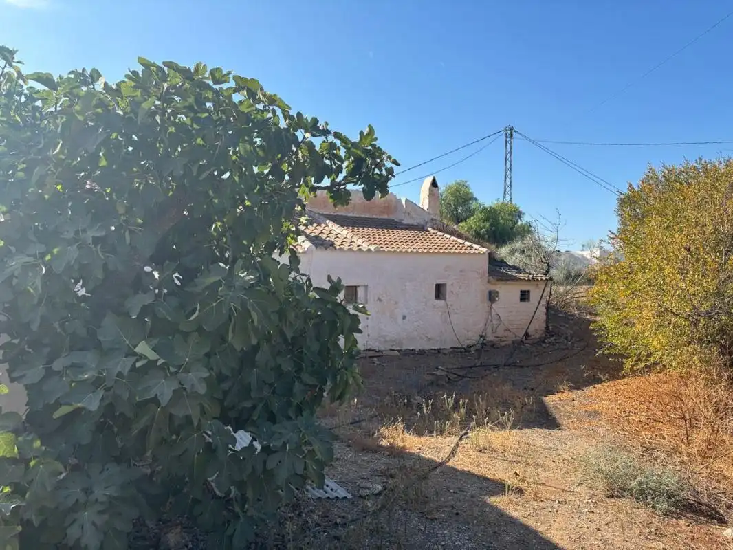 Casa rústica en venda a DS DISEMINADOS 447 EL TAJO EL MOCHUELO 29239 ALMOG, imagen 4