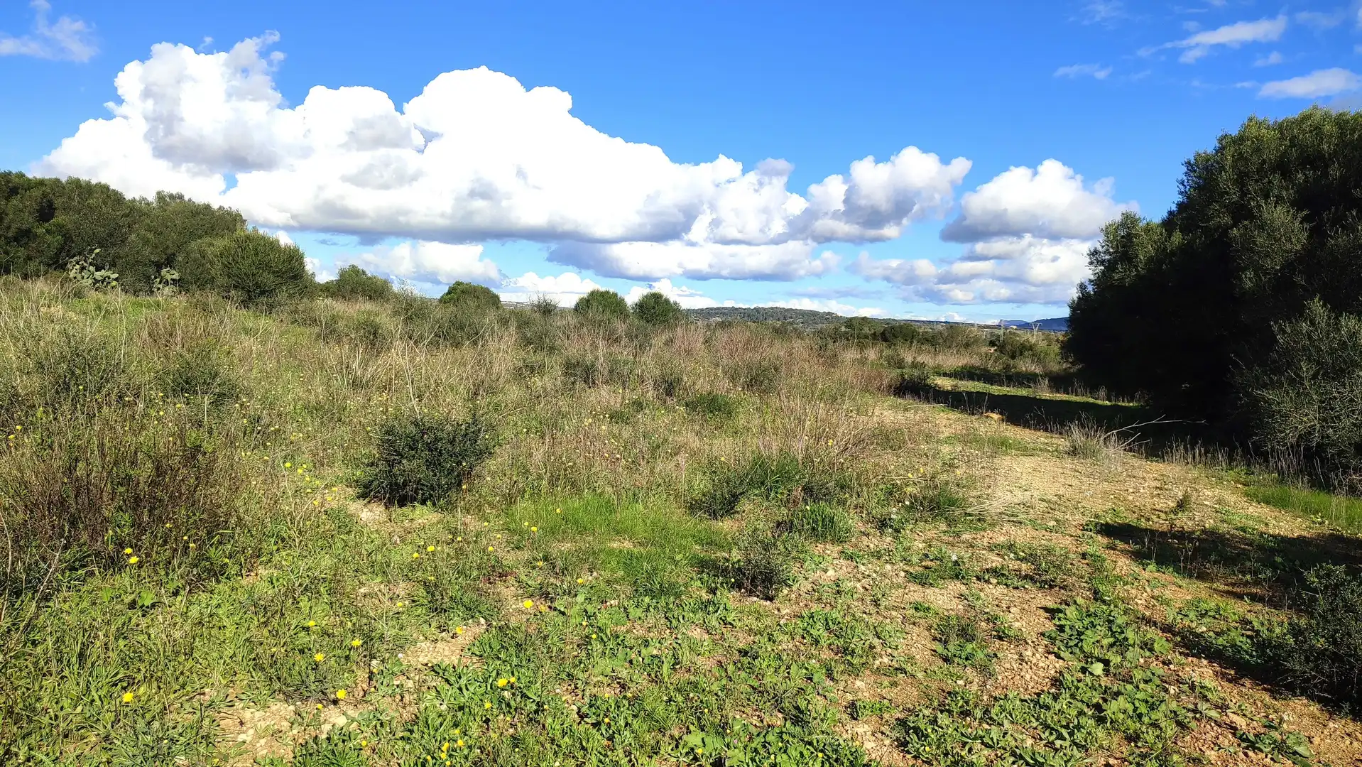 Rural land for sale in Diseminado Cdte Primero 3