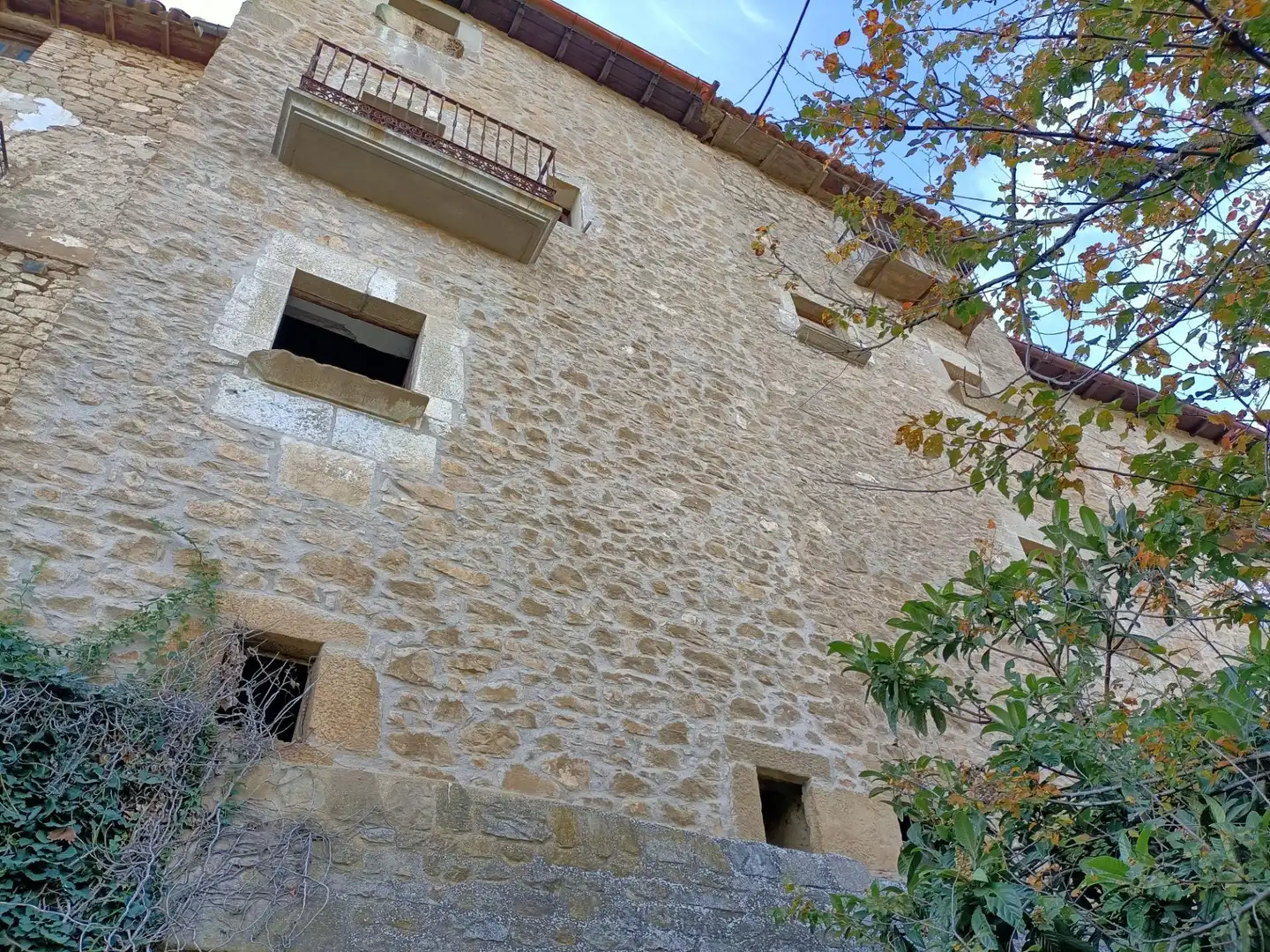 Vista exterior de Finca rústica en venta en Codo