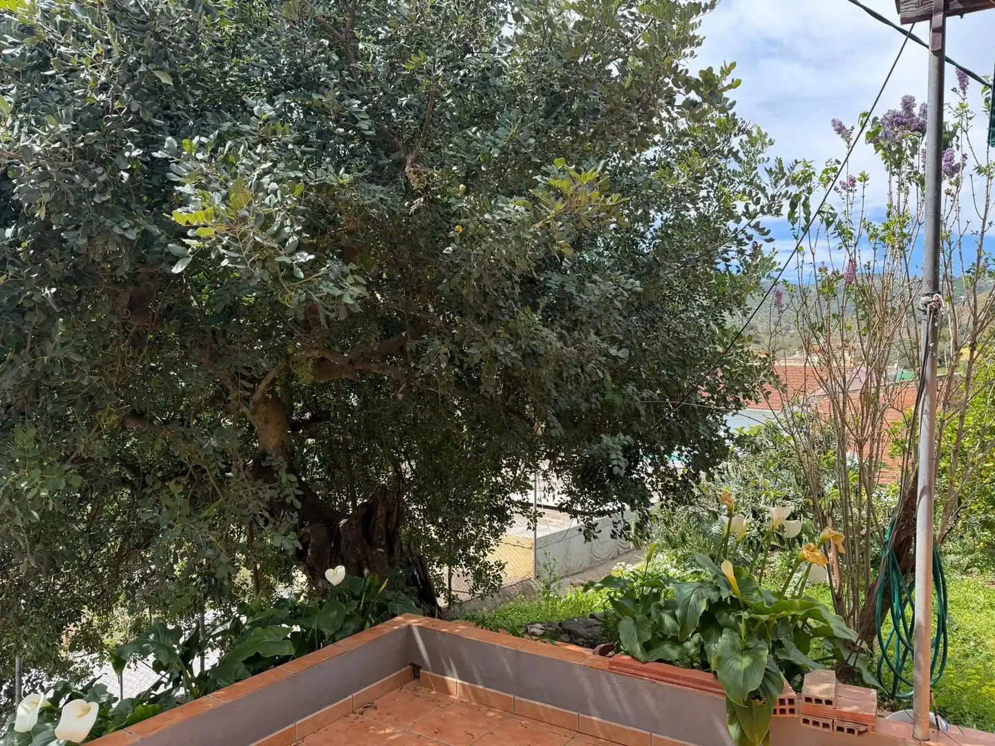 Casa rústica amb jardí en venda a Polígono poligono, imagen 26