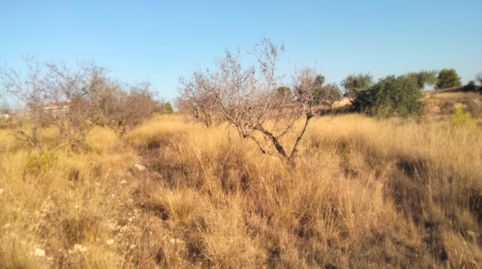 Foto 5 de Terreno en venta en Zona Avenida al Vedat, Torrent