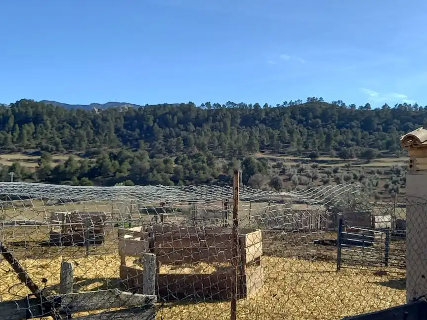 Rural land for sale in Carrer de Freginals 0, imagen 13