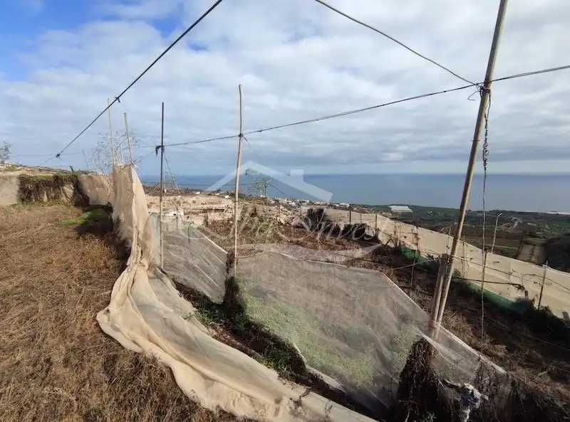 Terreno residenziale in vendita a La Guancha, imagen 15