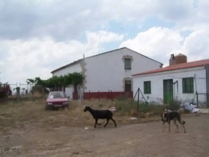 Terreni e lotti in vendita a Alcántara, imagen 2