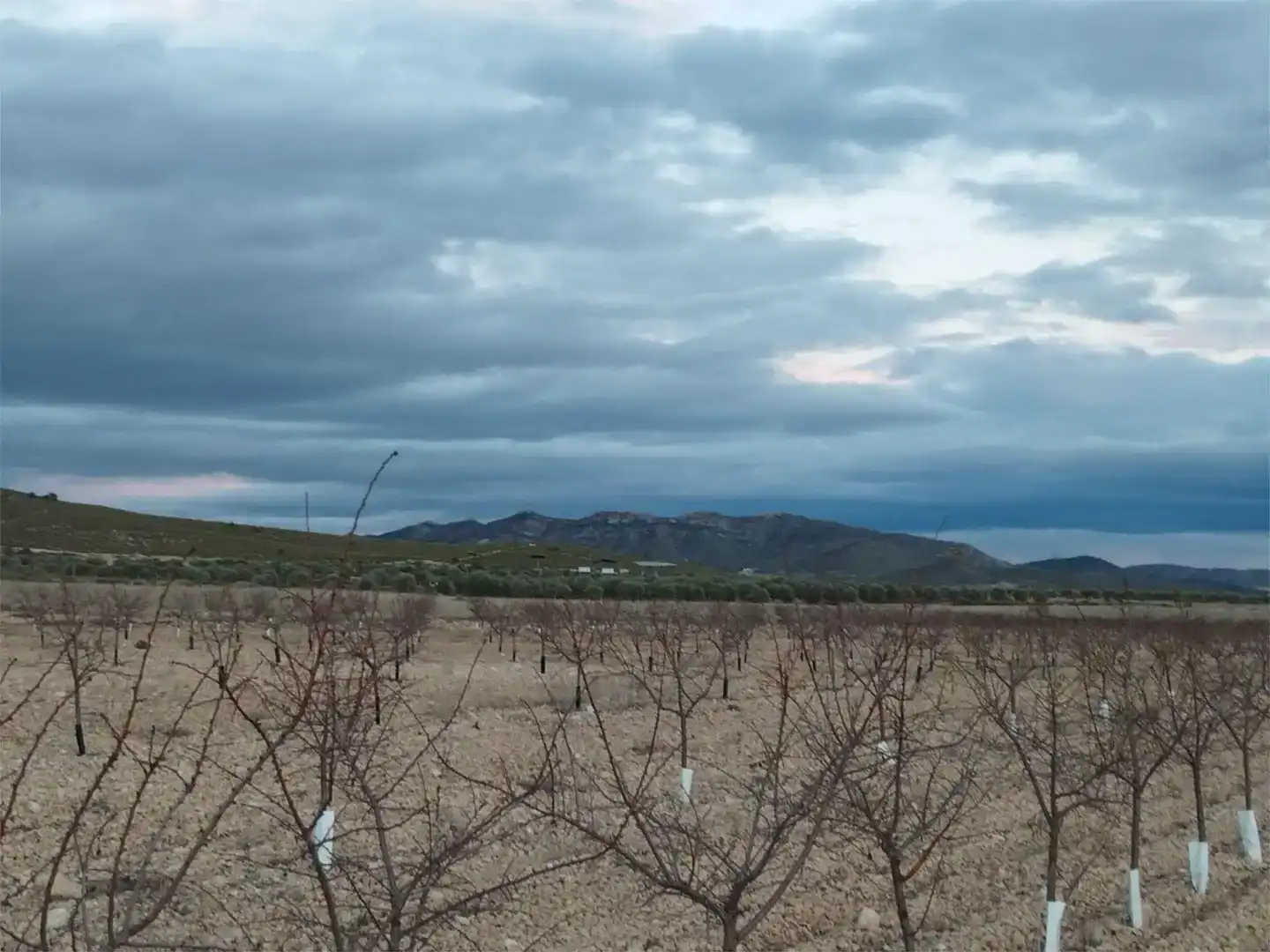 Terreno en venta en Montealegre del Castillo, Albacete