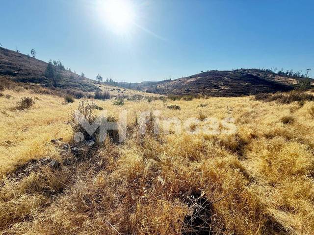 Terreno en Venta en Camino Almonaster la Real en Almonaster la Real