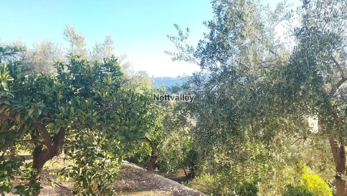 Terreni e lotti in vendita a FUENTE DEL OLIVO, imagen 12