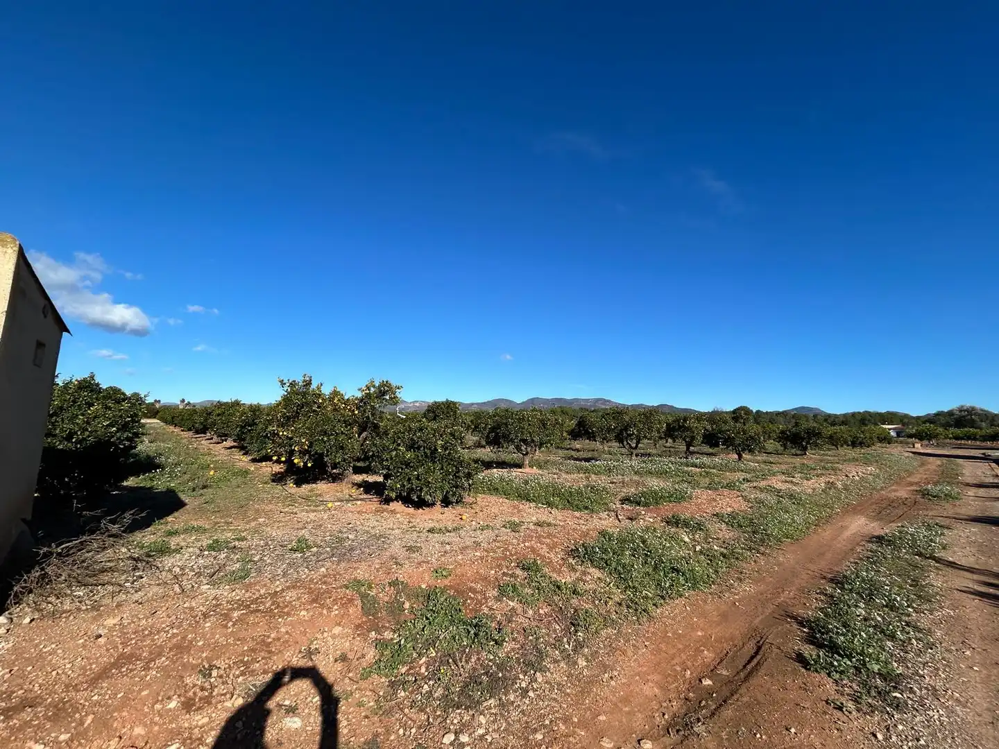 Terreno rustico in vendita a Camí de Paterna - Lloma del Calderer, imagen 3