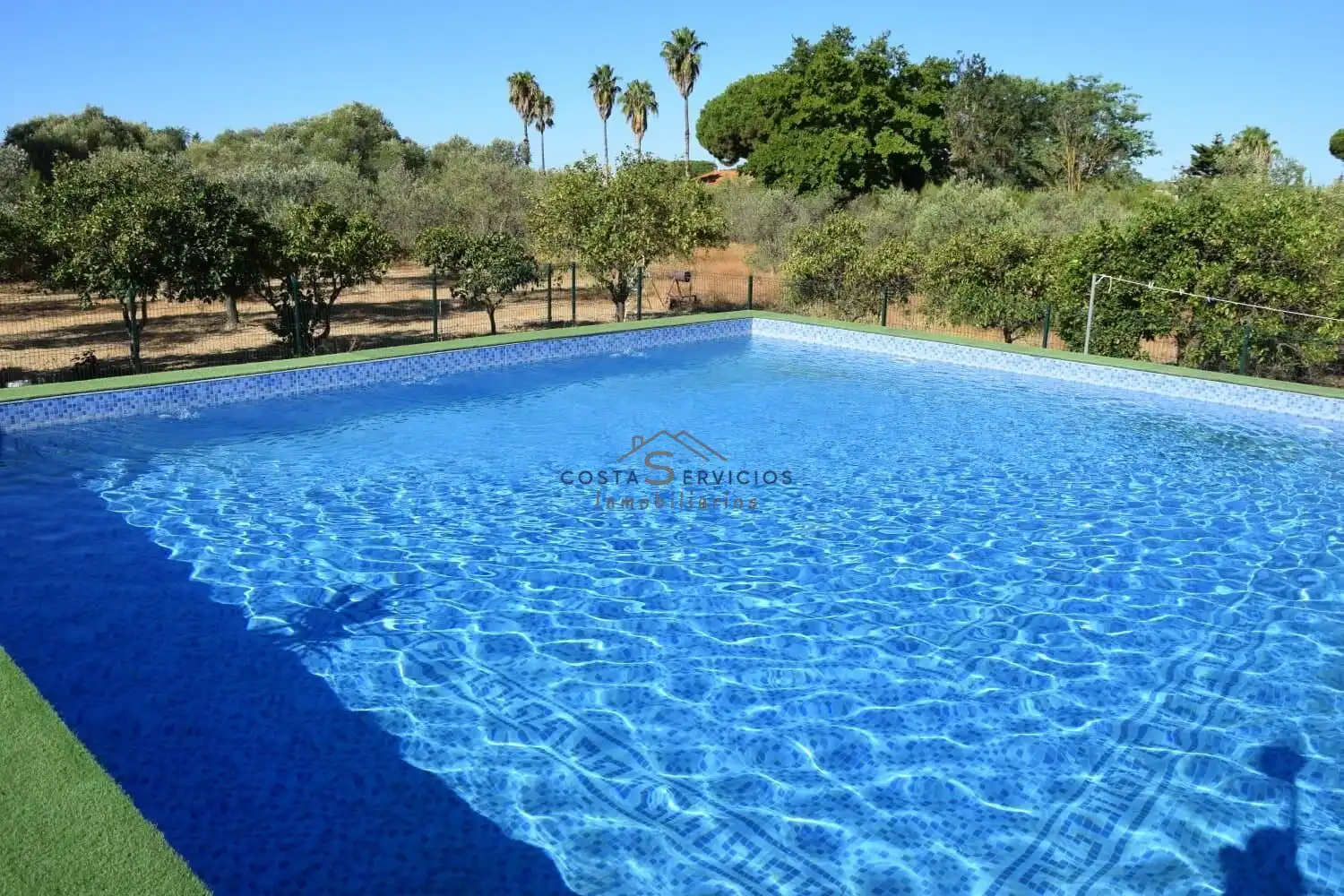 Piscina de Finca rústica en venda en Gibraleón amb Aire condicionat, Terrassa i Piscina