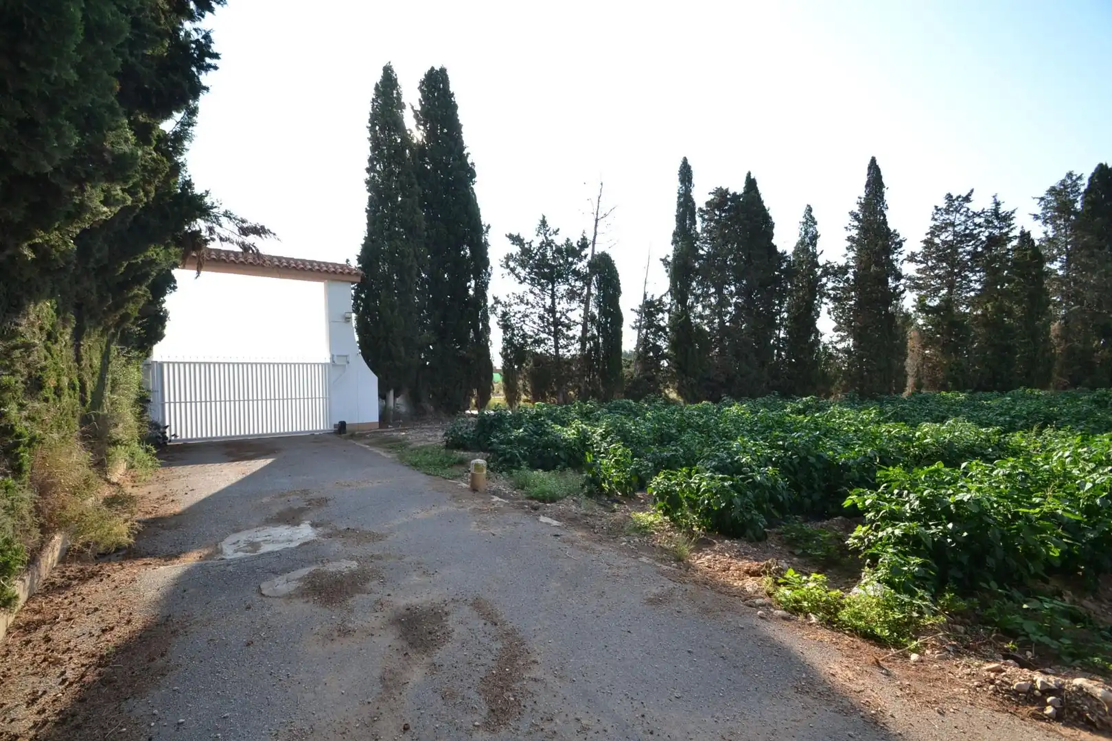 Country house with pool for sale in Partidas de interior - Zona Rústica, imagen 54