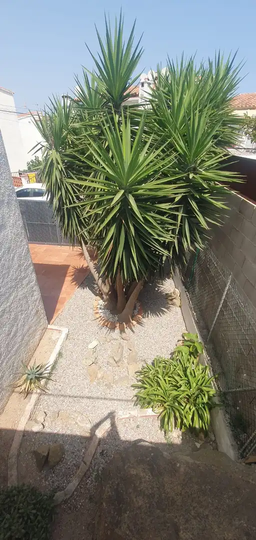 Villa mit Terrasse zum Verkauf in Almadrava - Canyelles - Puig-Rom, imagen 28