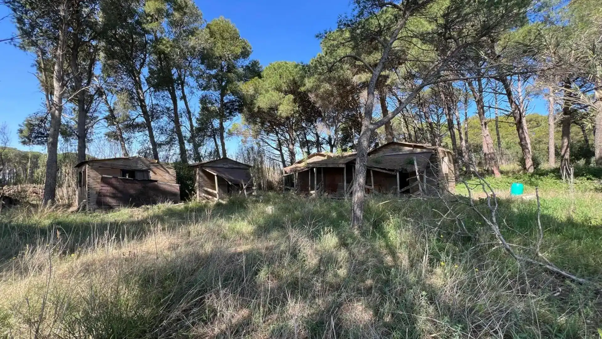Exterior view of Land for sale in L'Estartit