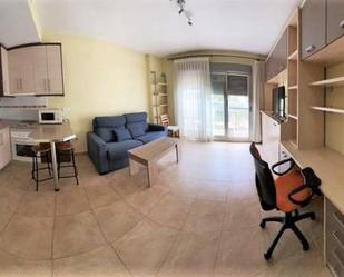 Living room of Study to rent in  Murcia Capital  with Air Conditioner and Balcony
