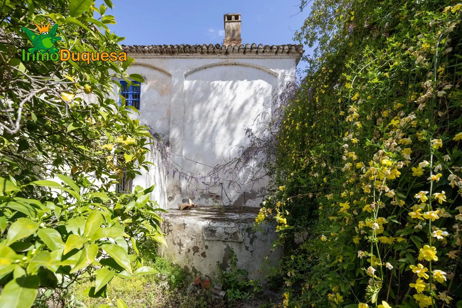 Casa rustica con terrazza in vendita a Ronda, imagen 25
