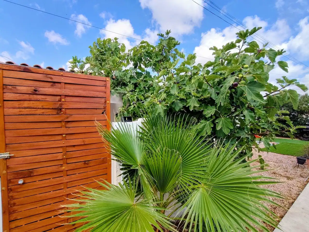 Garten von Country house zum Verkauf in Torrevieja