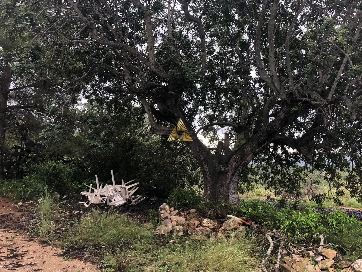 Lands and plots for sale in Las Atalayas - Urmi - Cerro de Mar, imagen 23